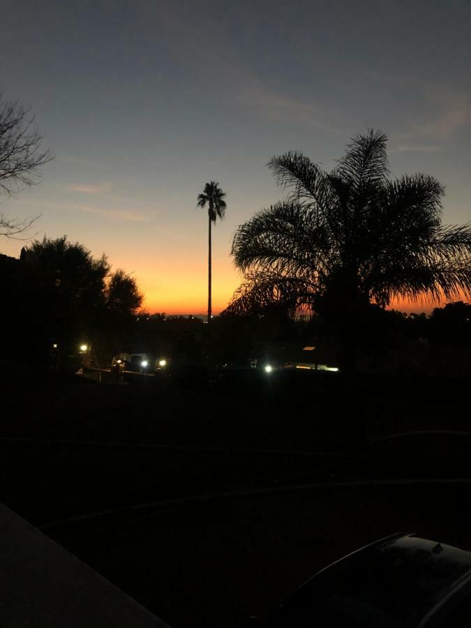 8 On Acacia Guesthouse Bedfordview Buitenkant foto